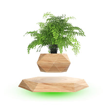 Load image into Gallery viewer, Floating Geometric Magnetic Levitating Flower Pot