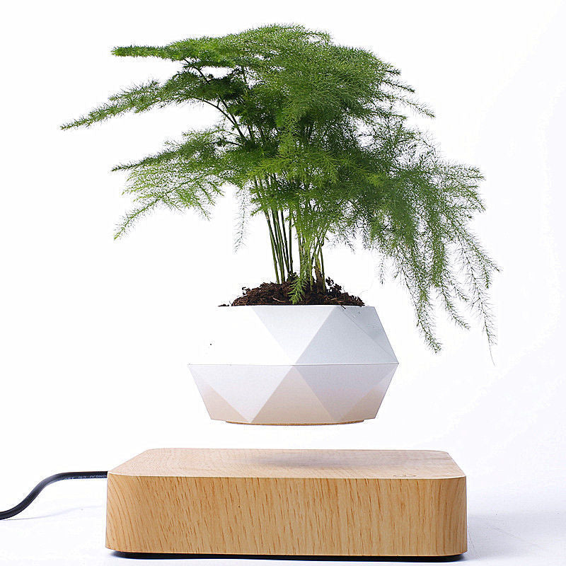 Floating Geometric Magnetic Levitating Flower Pot