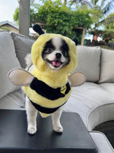 Load image into Gallery viewer, Pandaloon Bumblebee Pet Costume