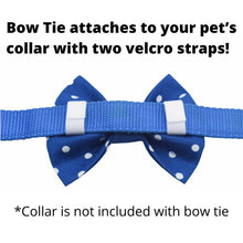 Load image into Gallery viewer, Ghost Dog Bow Tie, Halloween Pet Bow Tie, Autumn Cat Bow Tie