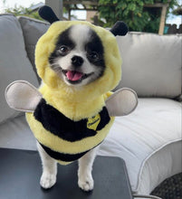 Load image into Gallery viewer, Pandaloon Bumblebee Pet Costume